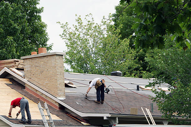 Best Metal Roofing Contractor  in Chesterton, IN